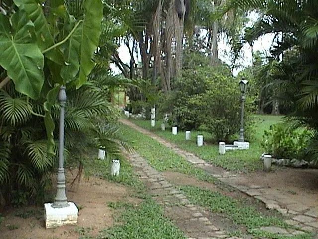 chácara - Chácara Santa Margarida - Campinas