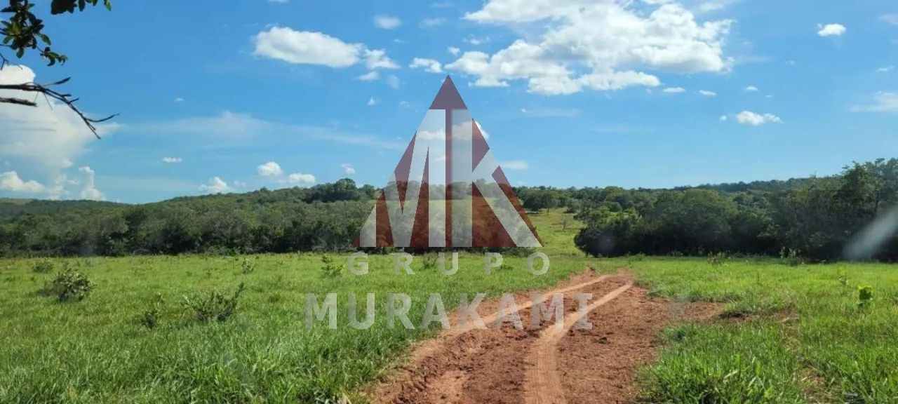 FAZENDA - SONORA - MS - Foto 2