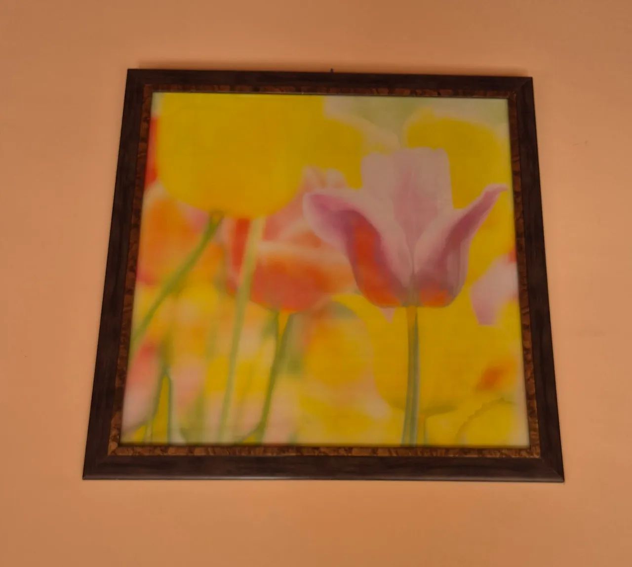 Quadros decorativos - Foto 2