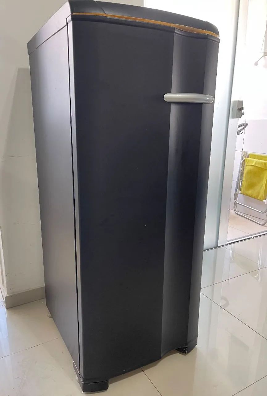Freezer - PRA VENDER HOJE - Foto 3