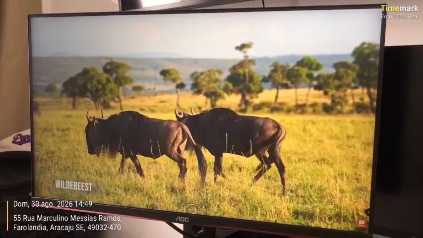 Monitor - AOC PC Gamer - Foto 4