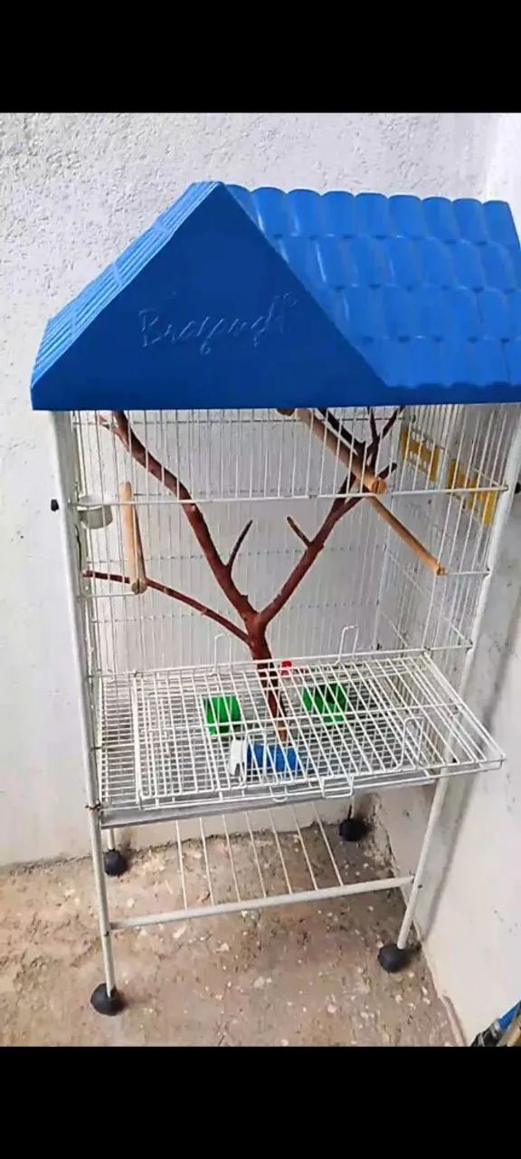 Vendo duas gaios em ótimo estado 