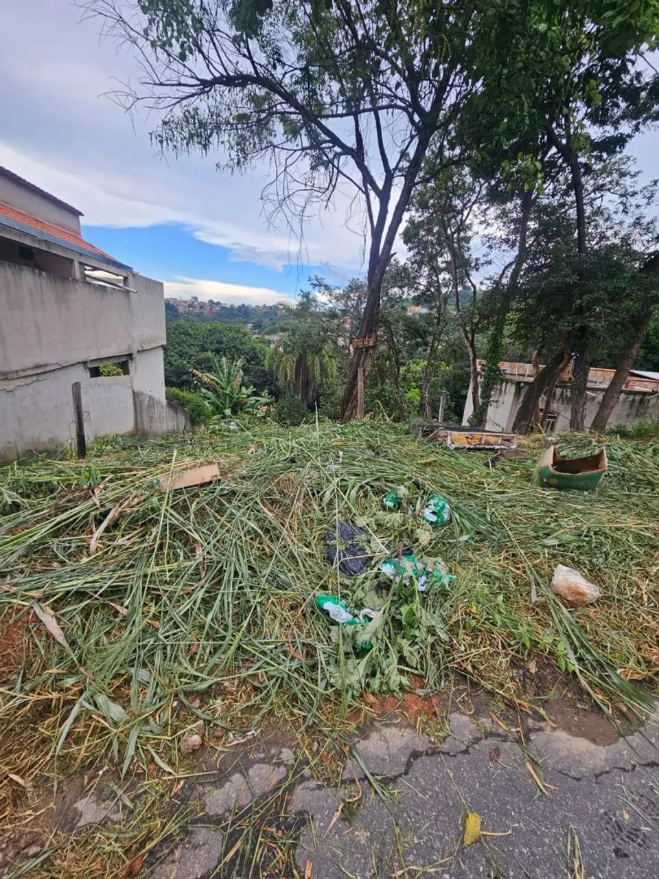 Lote novo reito - Foto 3