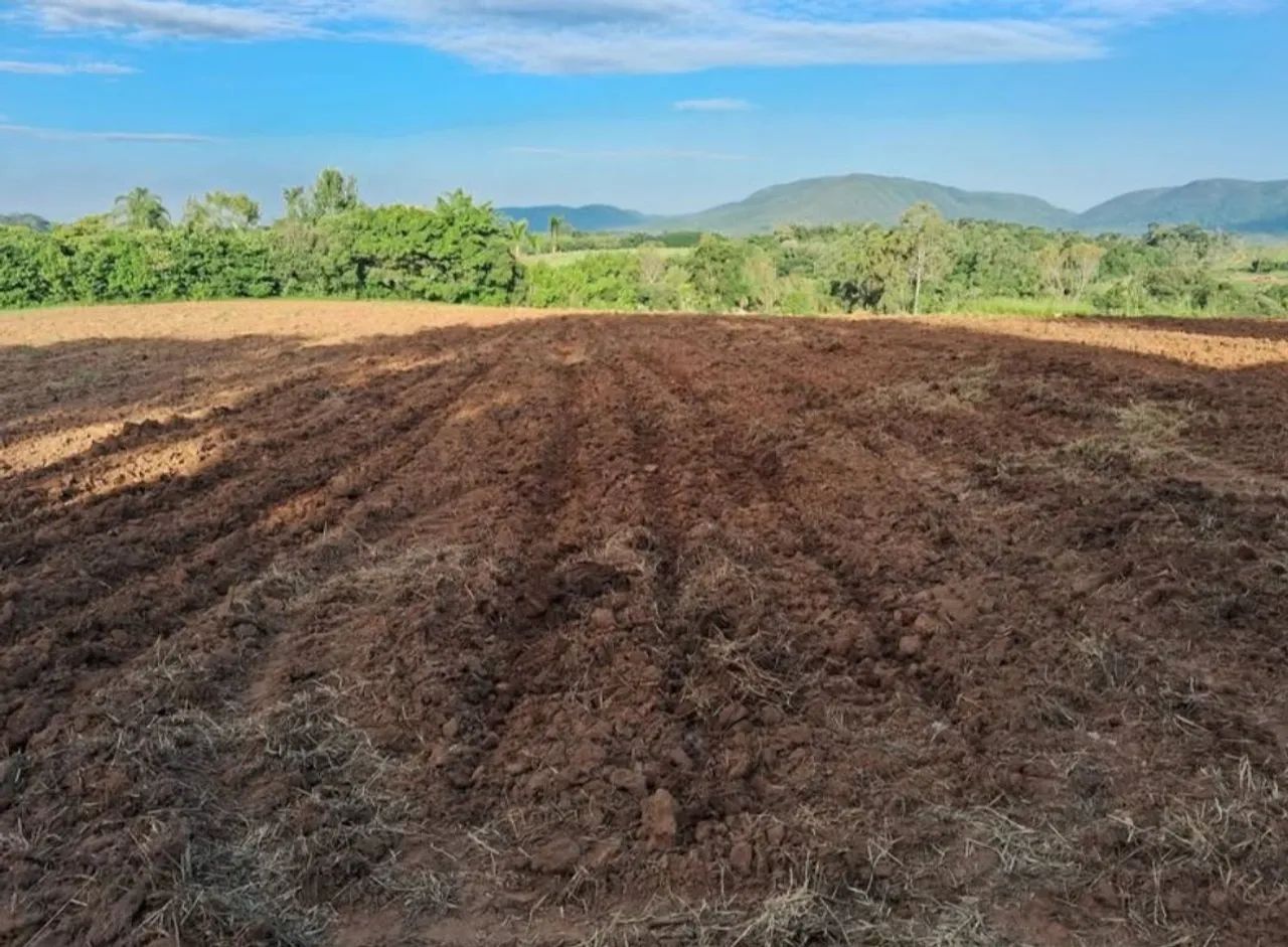 Trator agricola serviços  - Foto 2