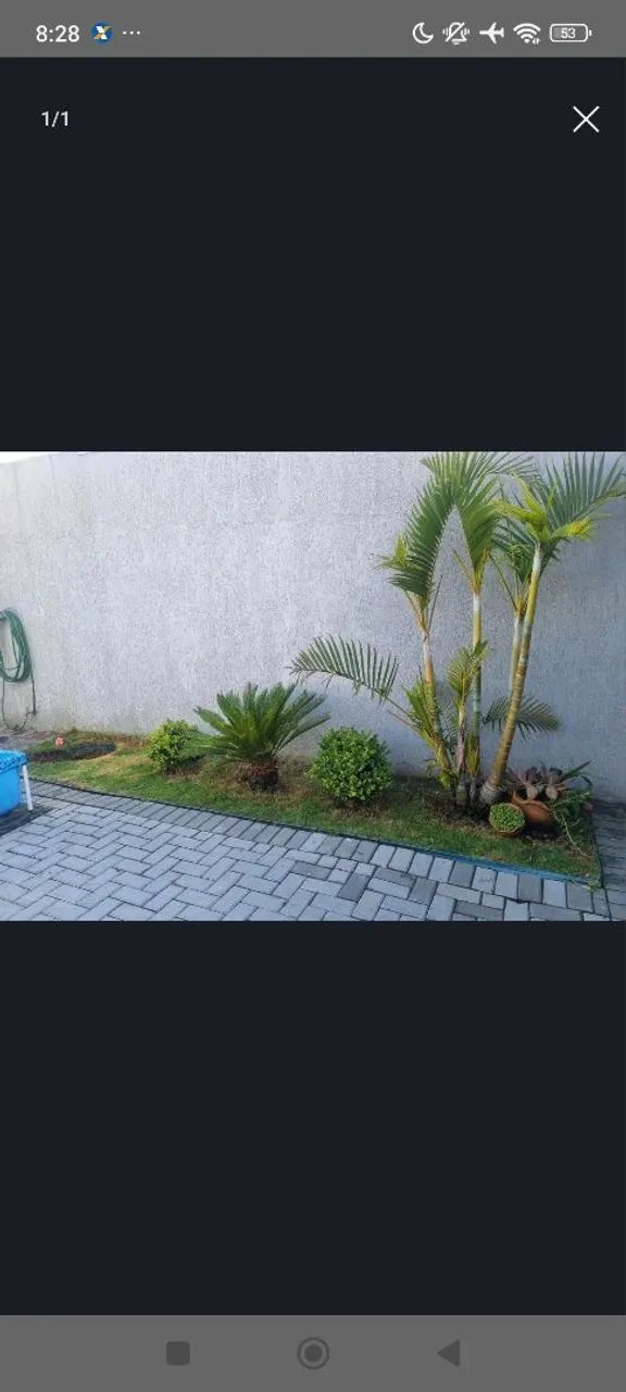 Jardinagem