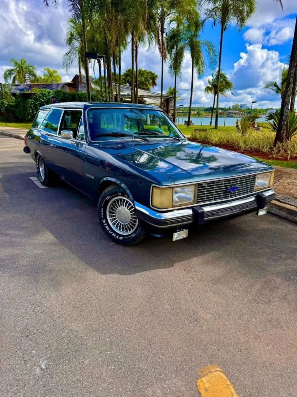 Chevrolet Caravan Comodoro 4.1/2.5 1983 - Foto 5