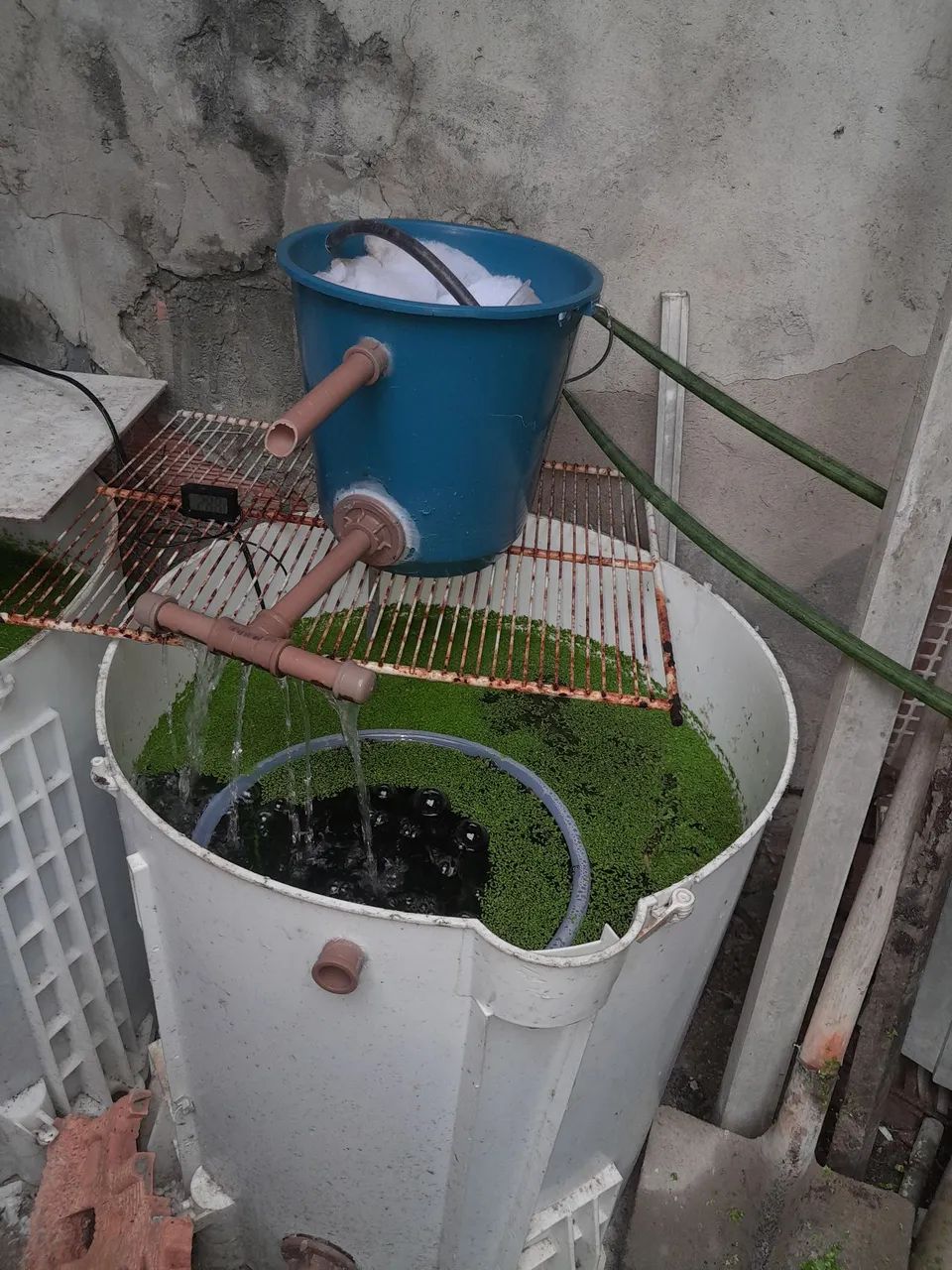 AQUÁRIOS  - Foto 5