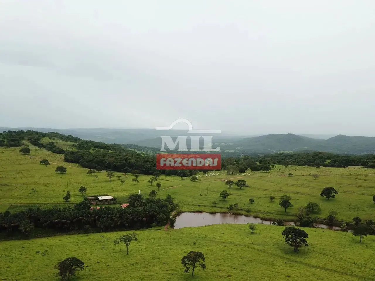 Fazenda 67 alqueires (324 hectares) Rianápolis - Go - Foto 4