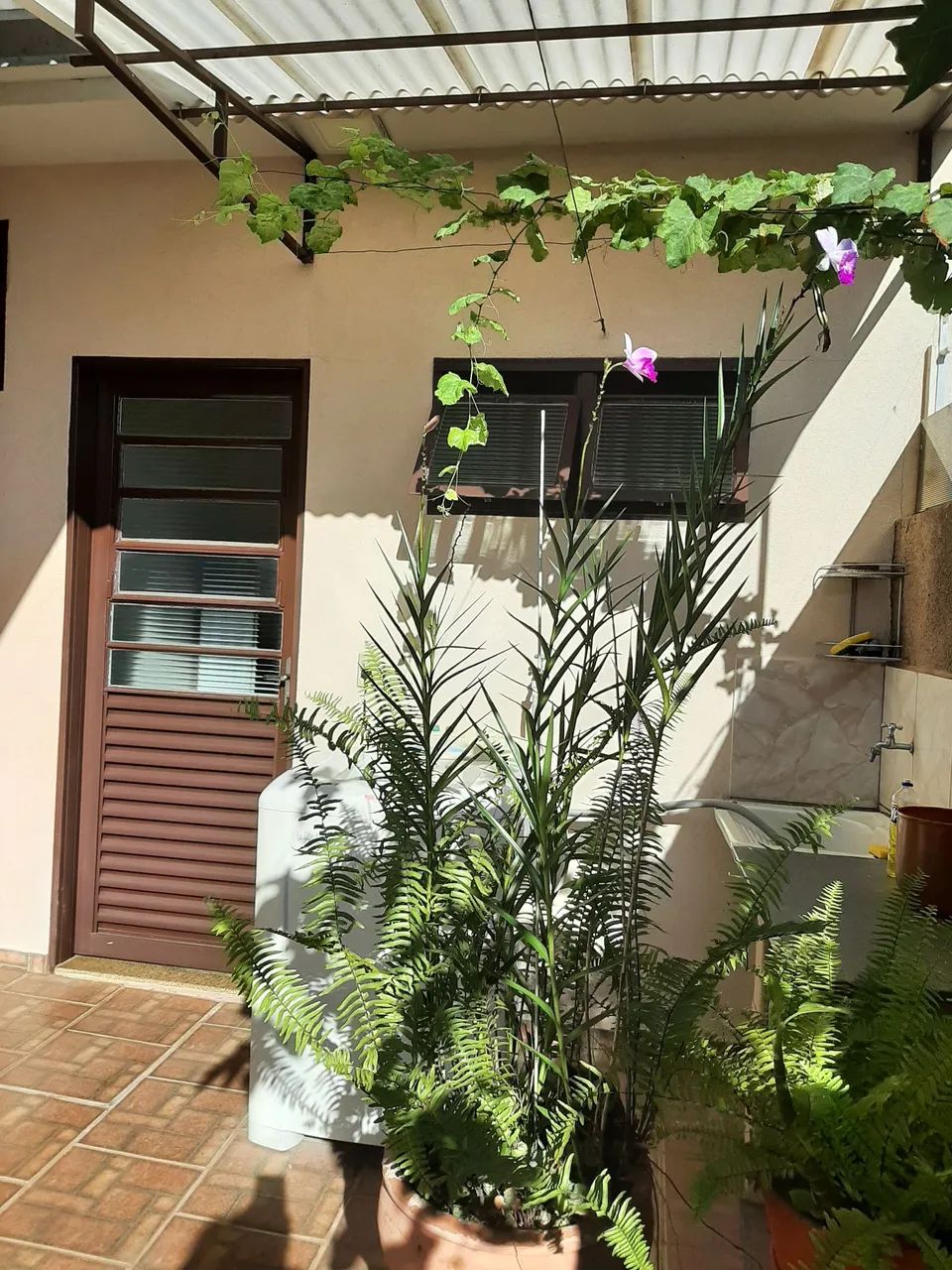 Foto - São Carlos - Cidade Jardim