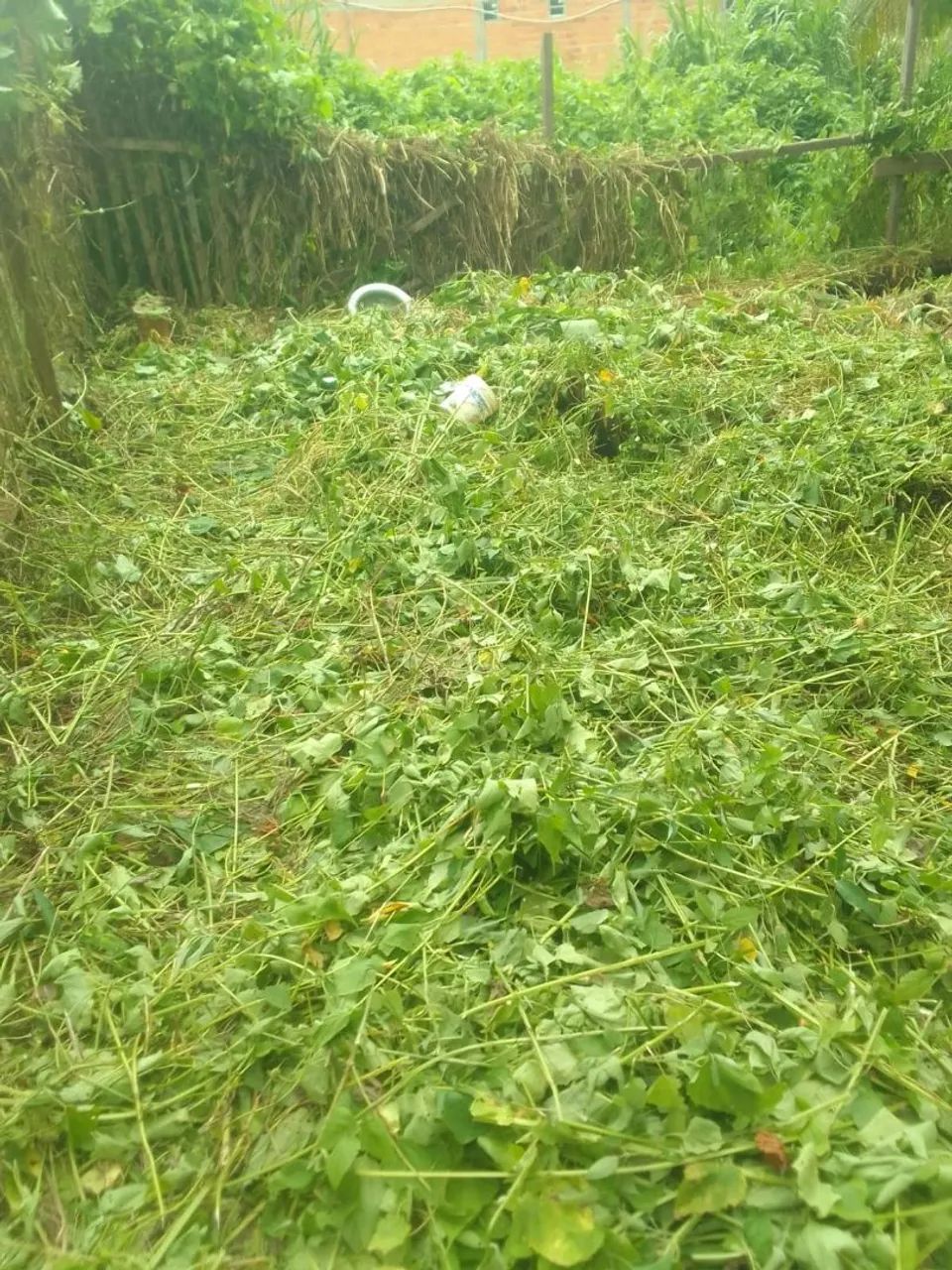 TERRENO PRA VENDER 12.000 - Foto 2