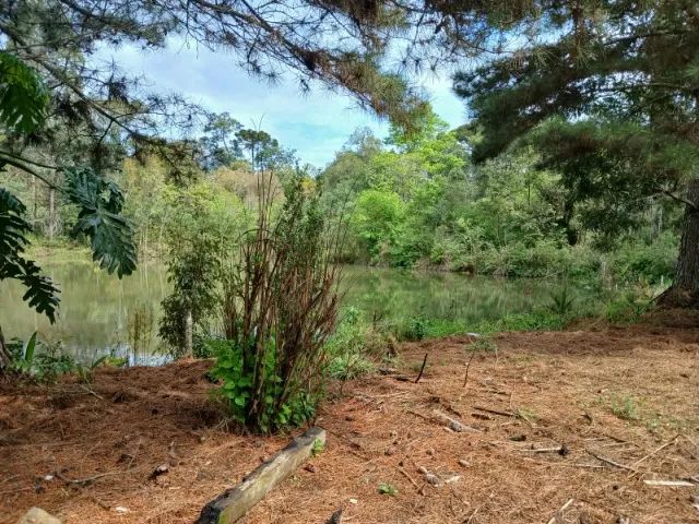 terreno - Foto 4