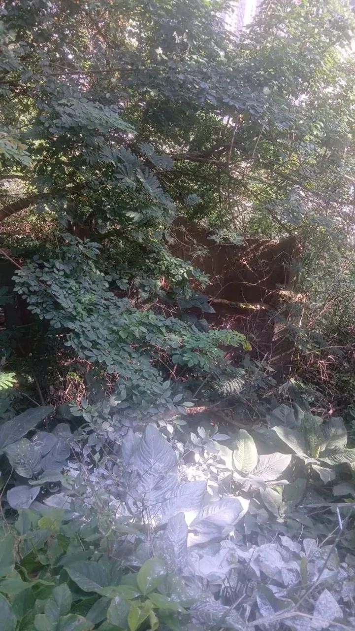 Vendo terreno tabajara  - Foto 4
