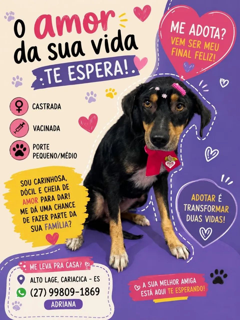 Doação  - Foto 4