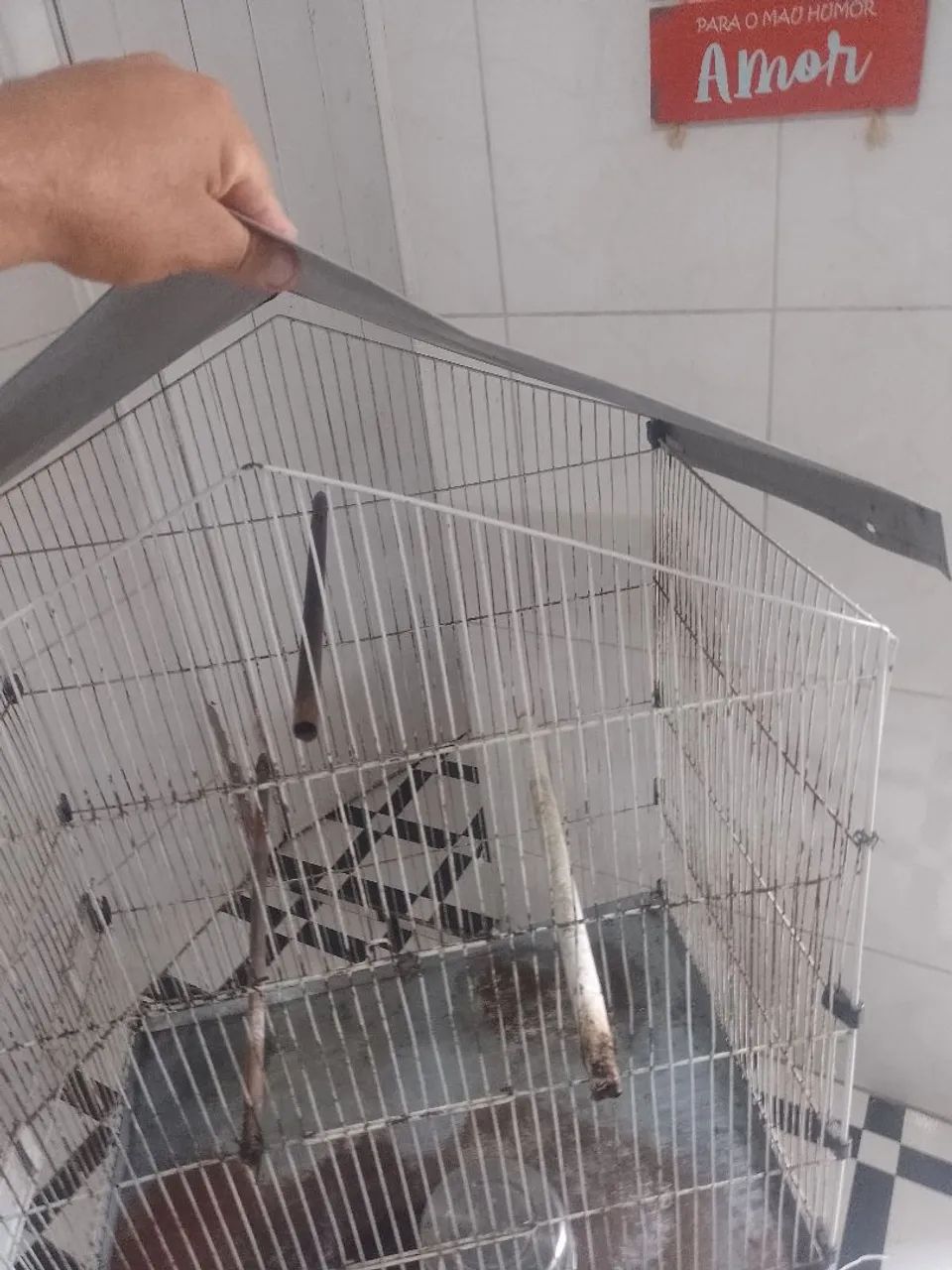 Gaiola para Papagaio ou calopsita 
