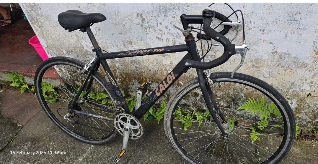 Bicicleta caloi 10