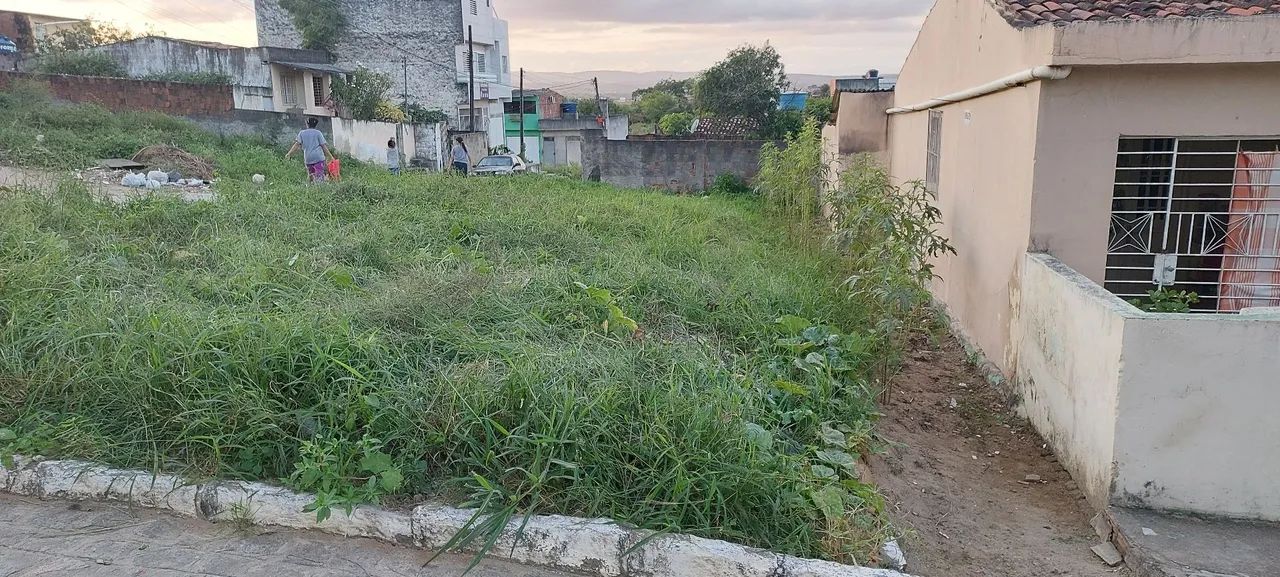 Terreno  - Foto 2