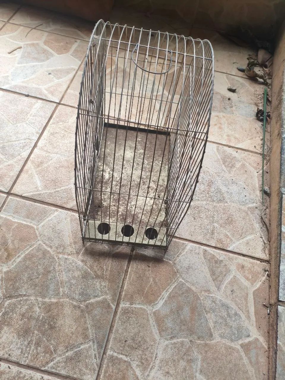 Gaiola Simples - Foto 2