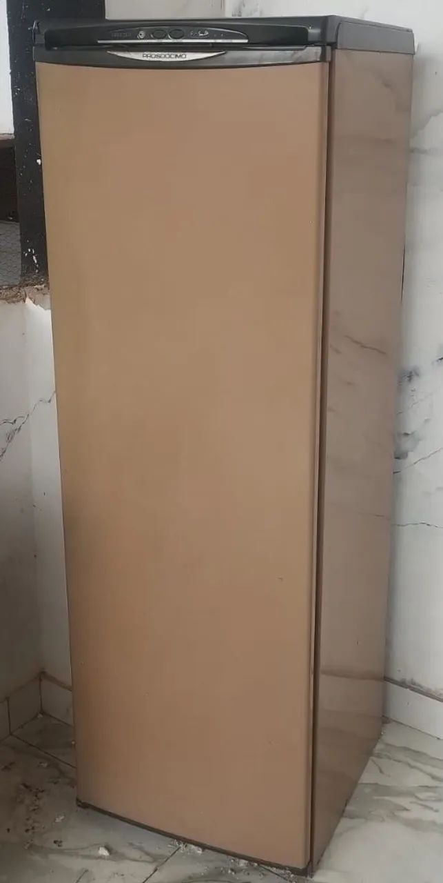 Freezer vertical 