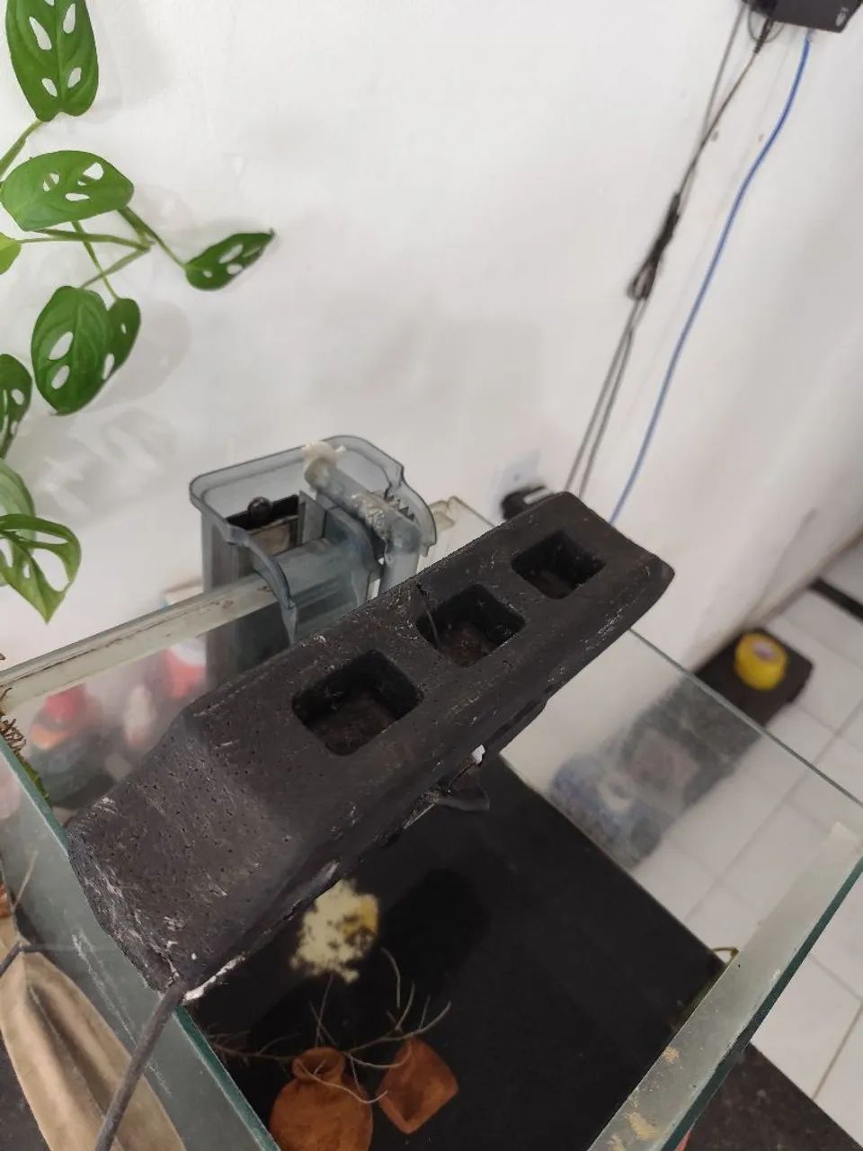 Aquário ornamental  - Foto 3