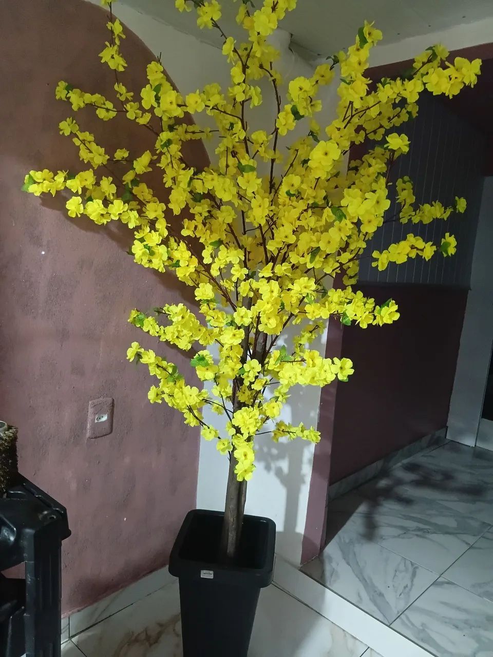 Salão  - Foto 5