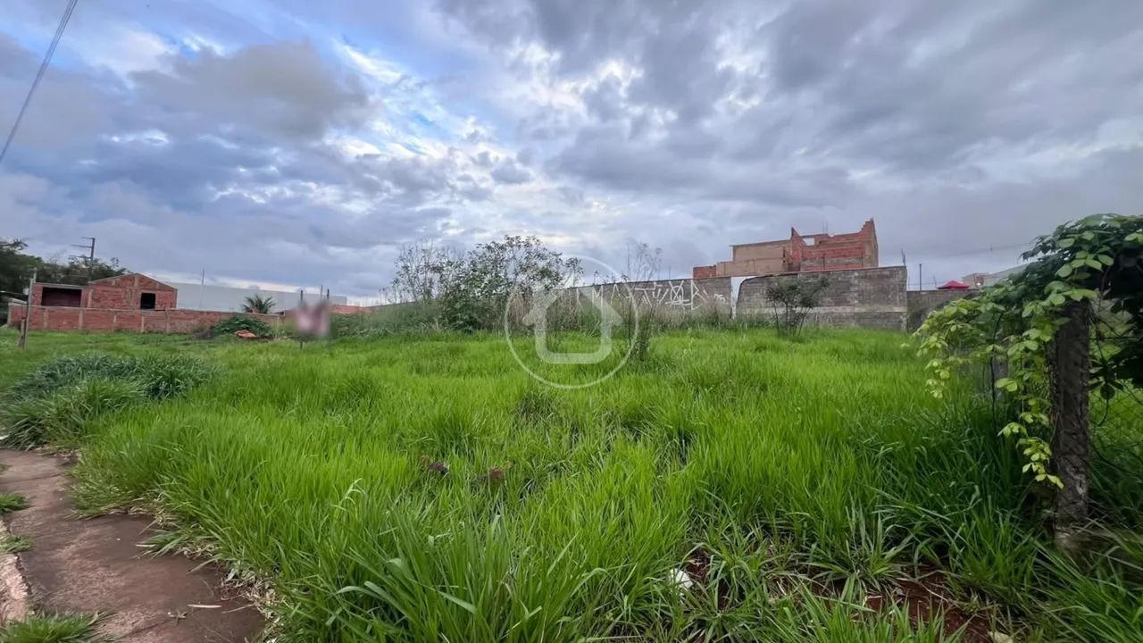 TERRENO - NO ASFALTO - MONTE CASTELO - Foto 2