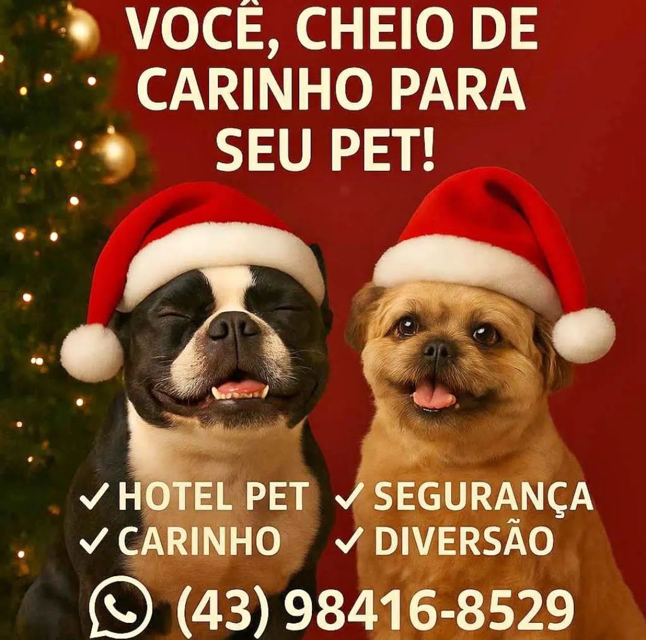 Pet hotel hospedagem para cães 