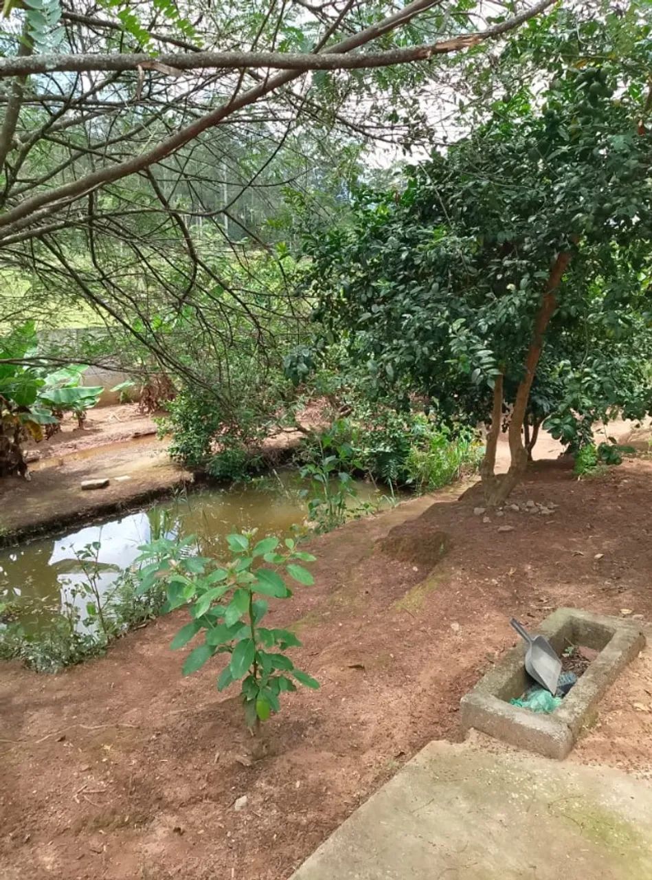 Vendo essa chácara casa  - Foto 4