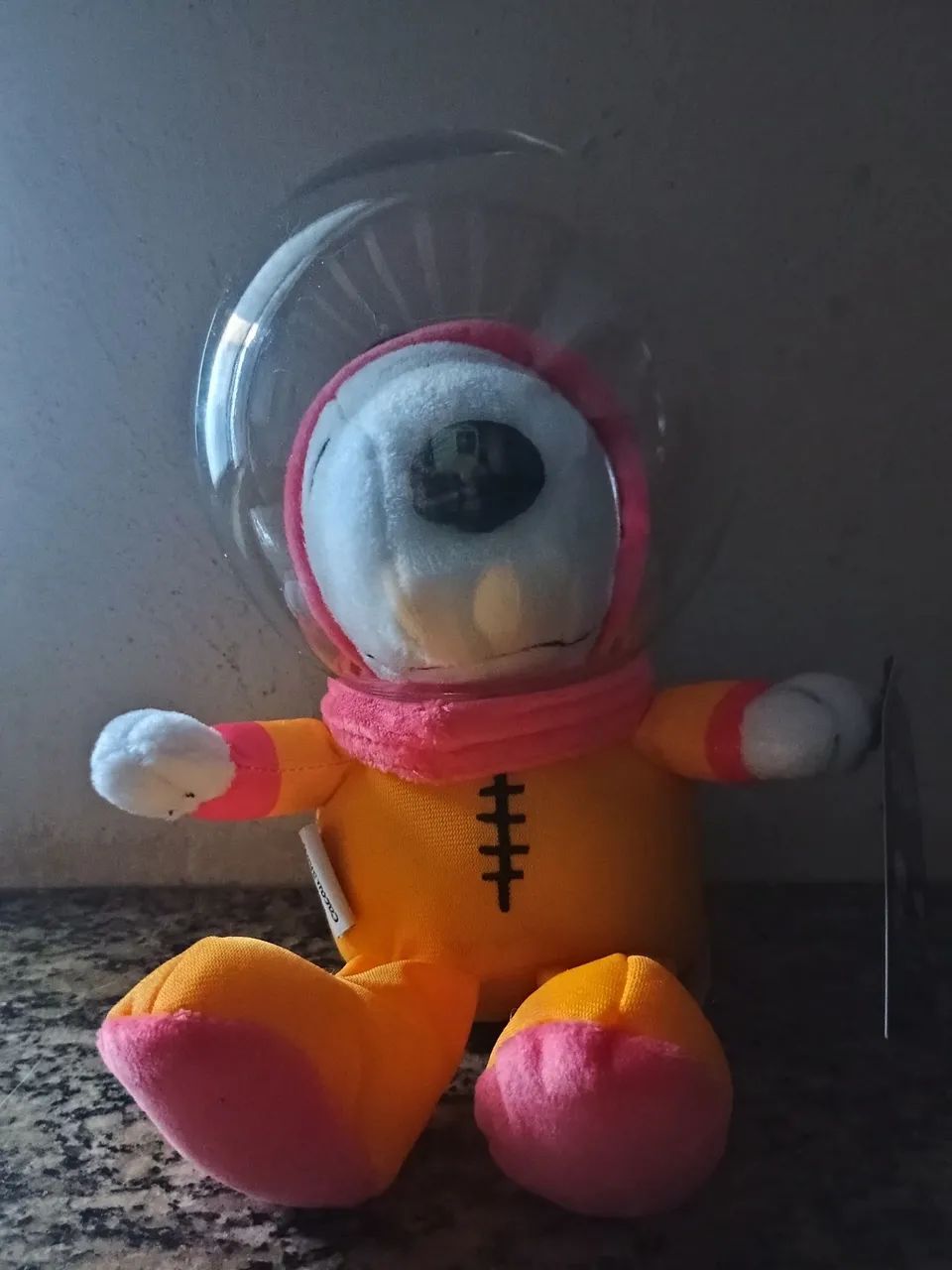 Película Snoopy Astronauta 