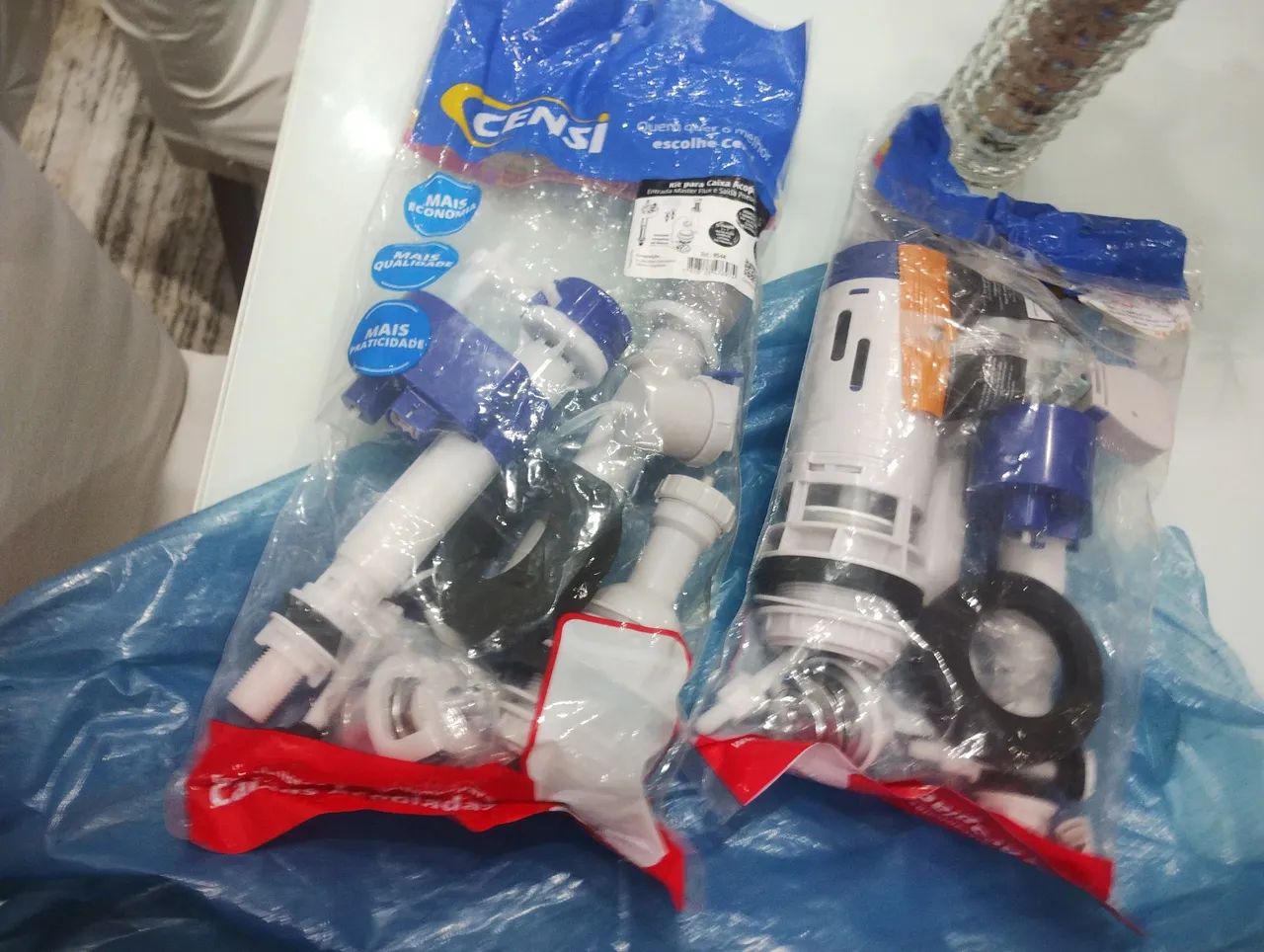 Toilet Flush Repair