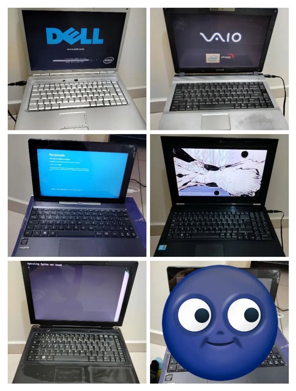 5 notebooks ligando