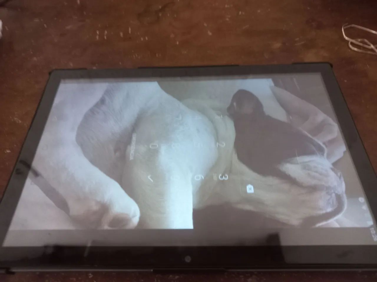 Tablet 6gb