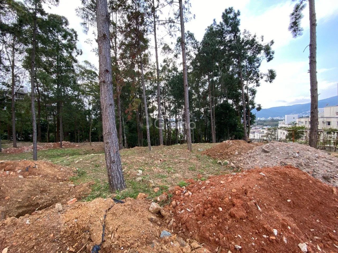 Terreno de 1.500m² no Pantanal - Foto 2