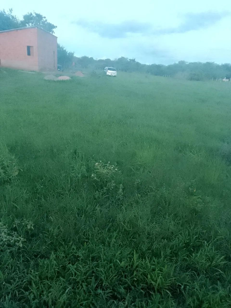 4 tarefas de terra - Foto 3