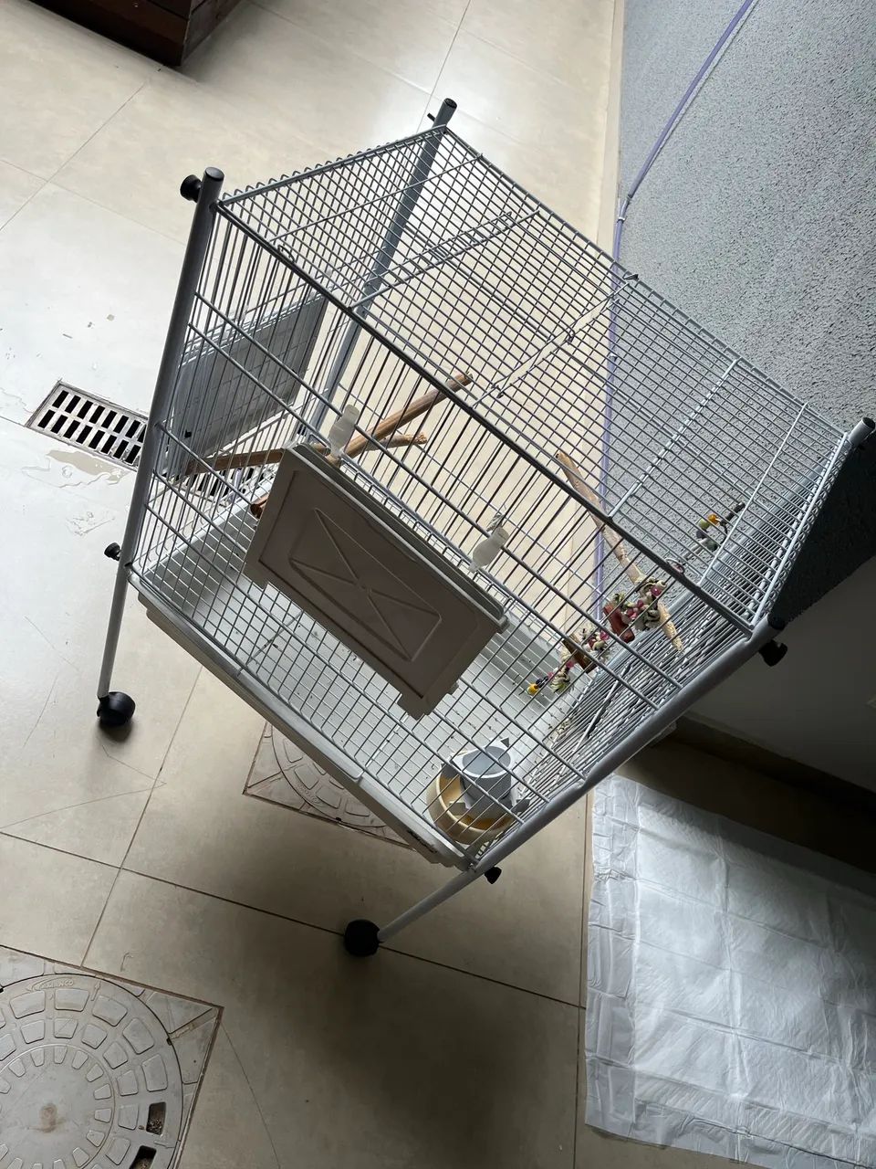 Gaiola (Calopsita, periquito, canário, papagaio) 