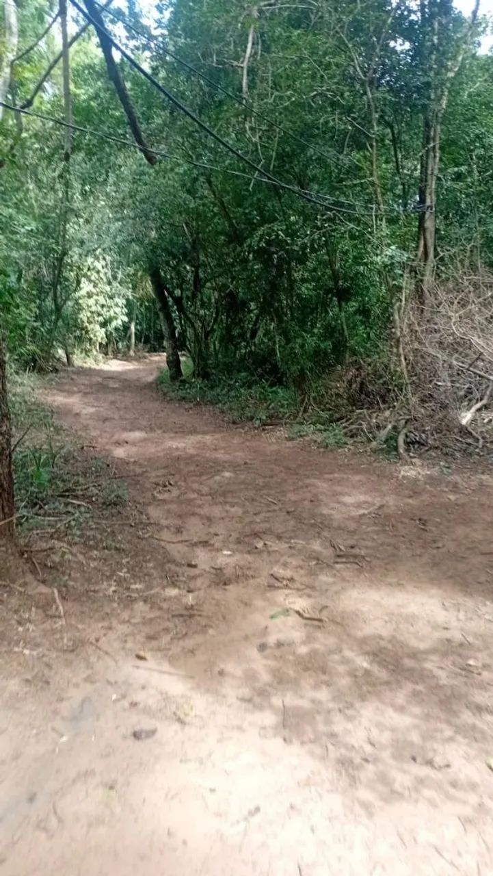 Terreno na beira do Rio Miranda  - Foto 5