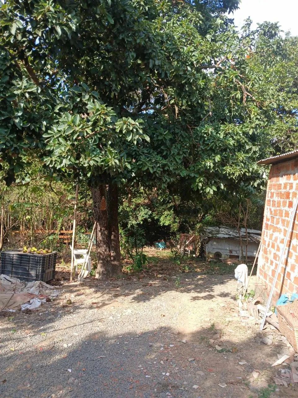 Chácara área verde - Foto 4