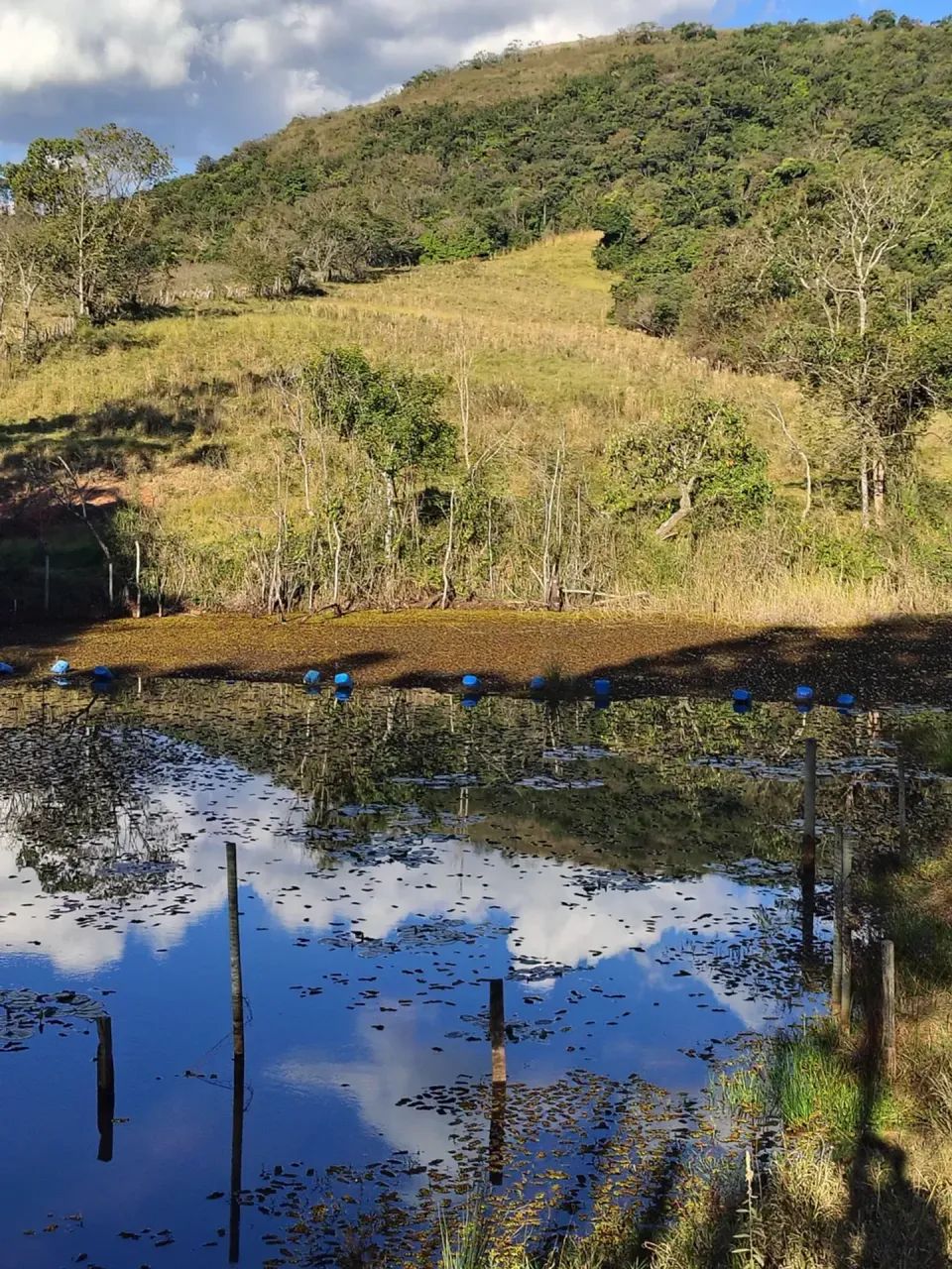 Sítio para gado ,lazer ,represa grande - Foto 3