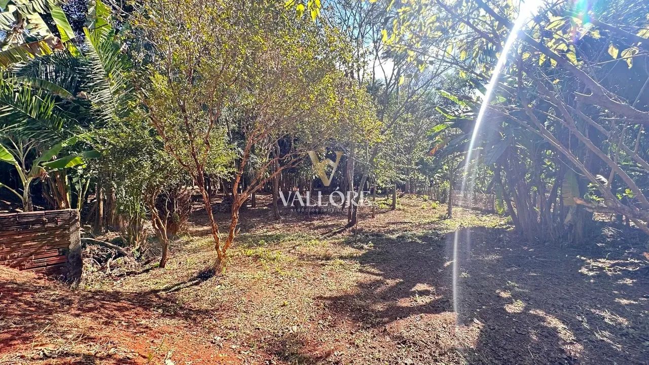 Ribeirão da Cachoeira - Chácara 7.158,89 m² com acesso ao Ribeirão - Condomínio  Nova Vene - Foto 12