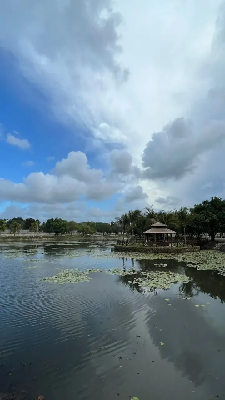 TERRA BRASILIS NO AQUIRAZ - APROVEITE!! - Foto 3