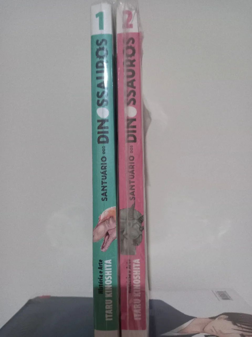 Mangá Santuário dos Dinossauros - Livros e revistas - Santa Maria