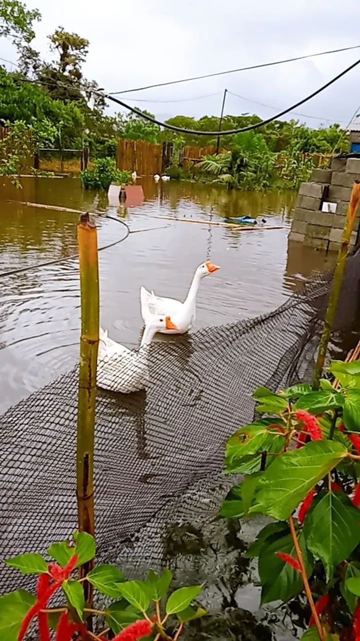 SÓ CHAMAR SE REALMENTE TIVER INTERESSE  - Foto 3