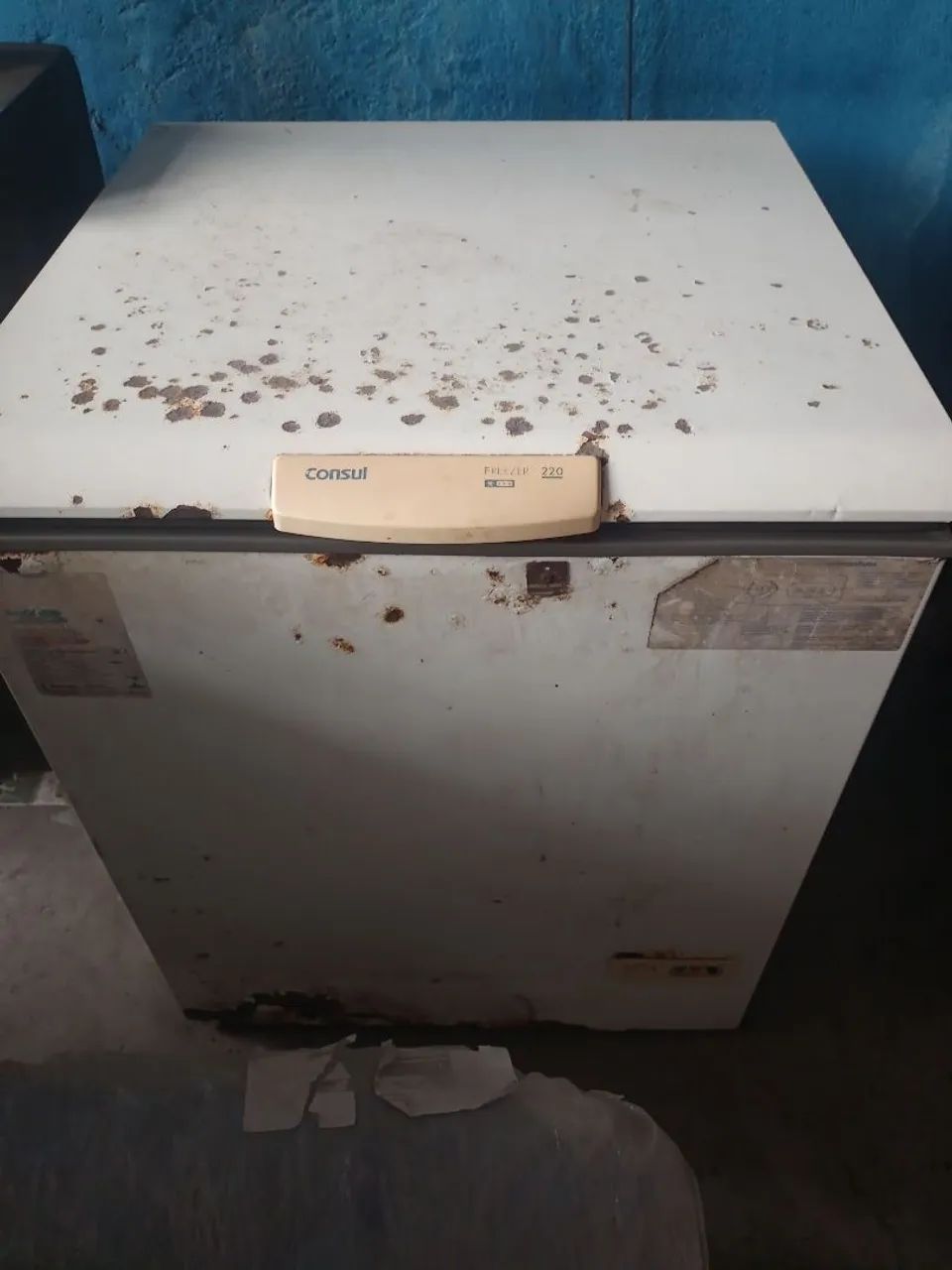 Frizer 220 lt  - Foto 4