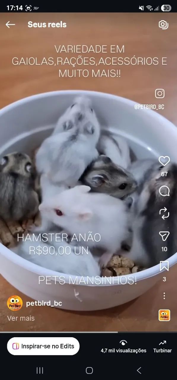 Hamster gerbil twister  PET BIRD AGROPET BALNEARIO CAMBORIÚ