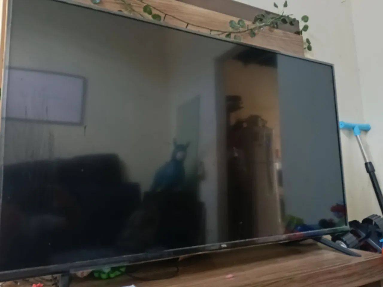 Tv TCL 50 polegadas 