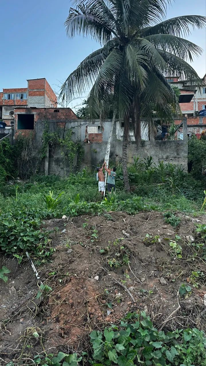 Vendo Terreno Nova Carapina 1 - Foto 2