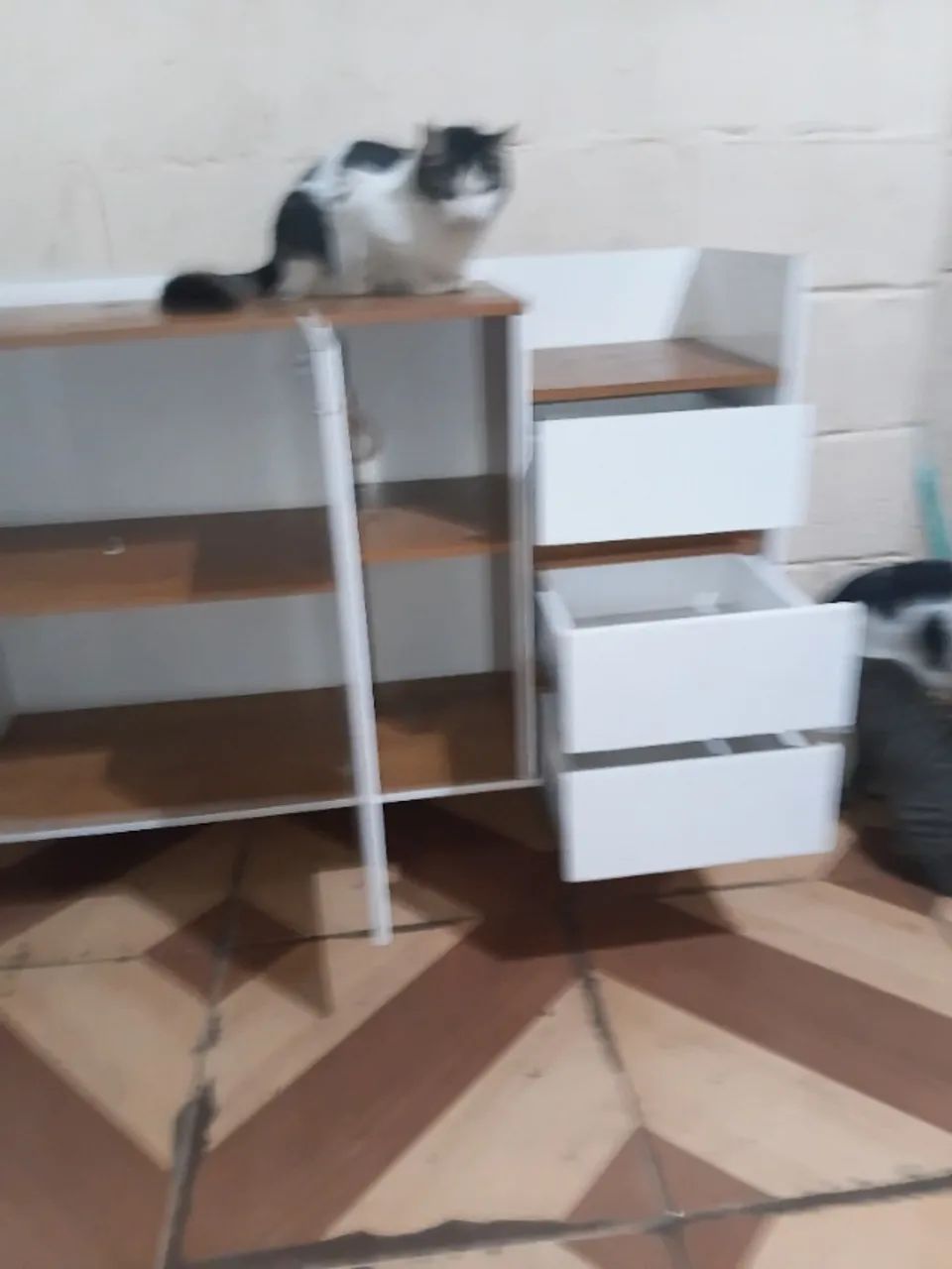 Raquel - Foto 2