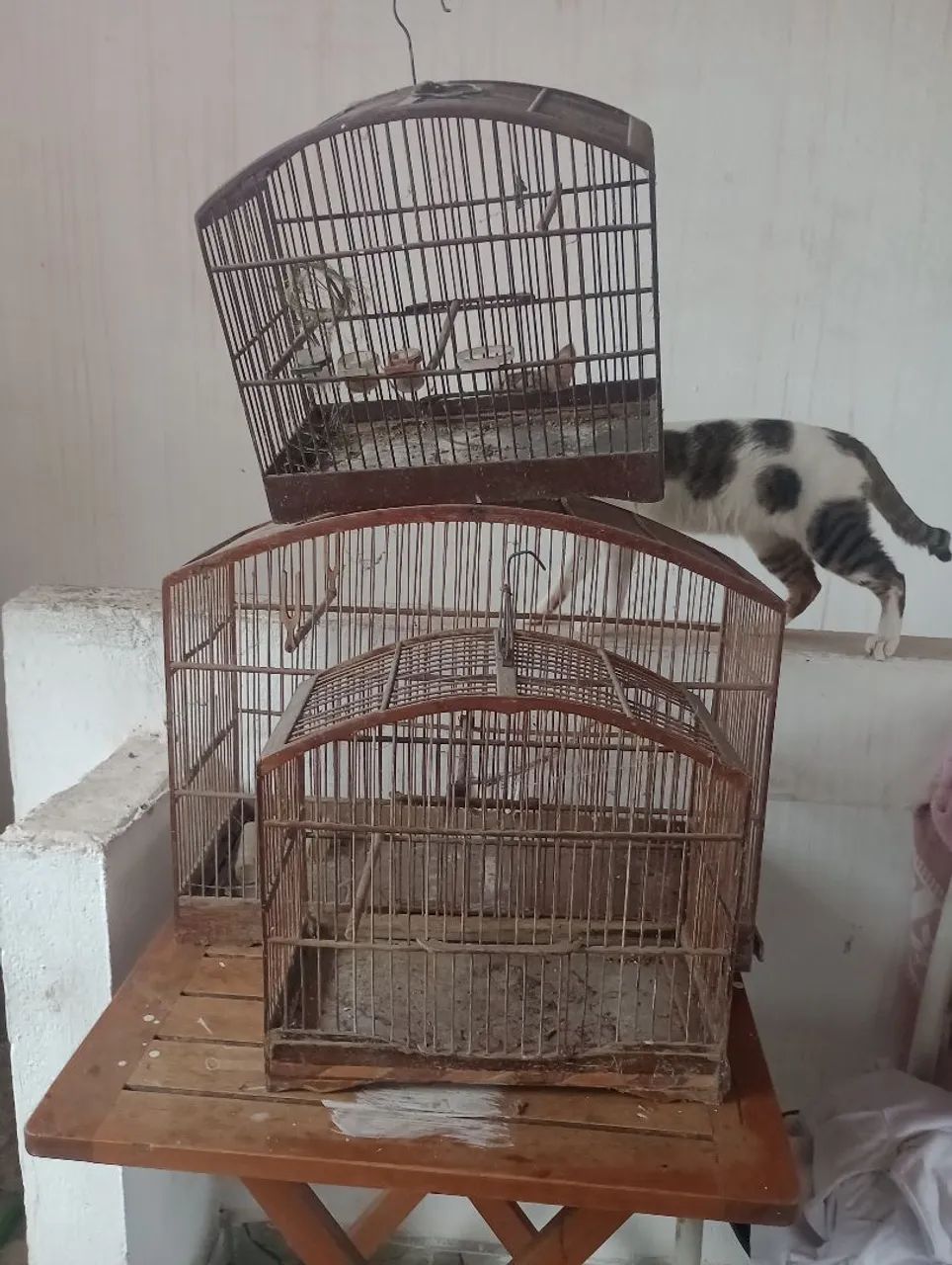 GAIOLAS