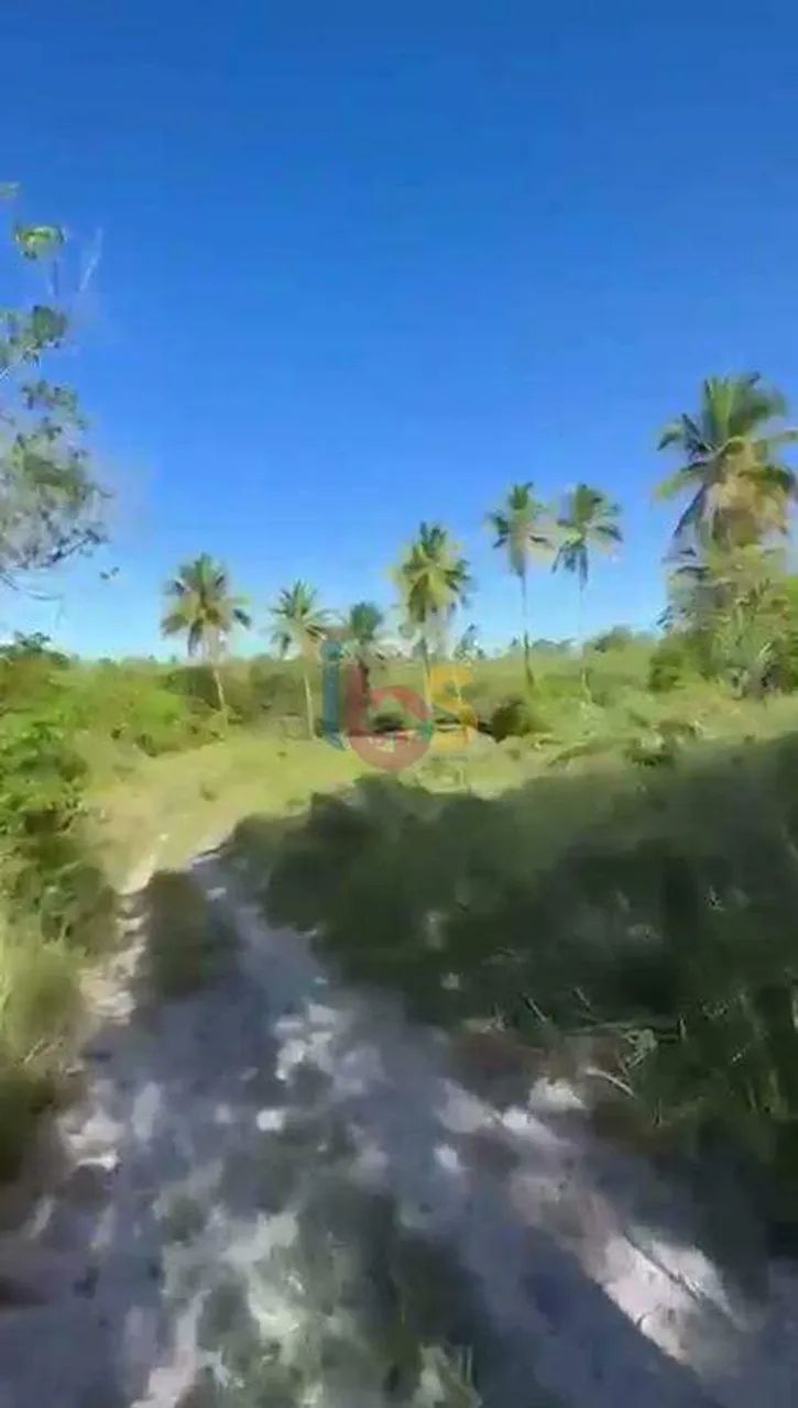 Vendo Àrea com 56 hectares em Comandatuba - Foto 5