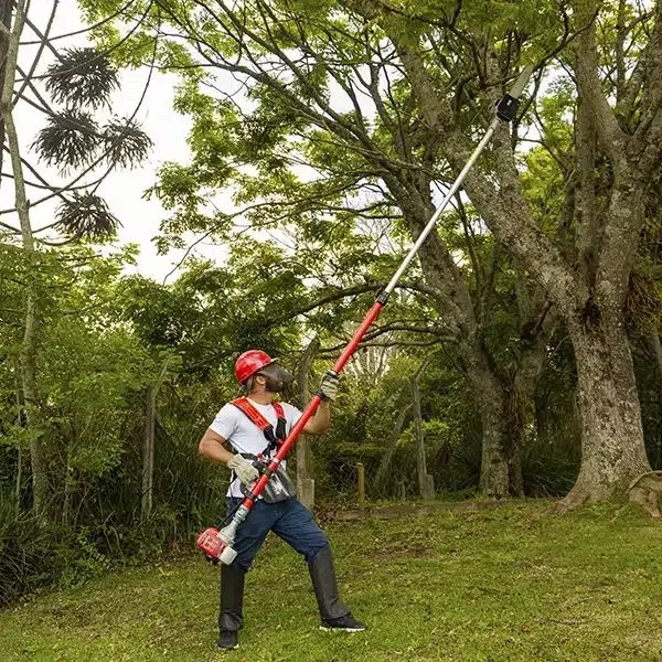 Motopoda Telescópica Gasolina - TPP33TX TOYAMA - Jardinagem e