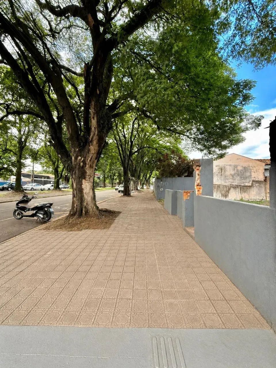 Terreno Comercial na Av. Brasil | 531 m² | Zona 08 - Foto 3
